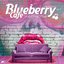 Blueberry Cafe Vol.4
