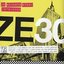 ZE30 (ZE Records Story 1979-2009)
