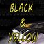 Black & Yellow