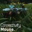 Connectivity - Single
