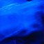 indigo chamber