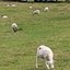 peakdistrict