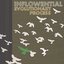 Evolutionary Process: Special Edition