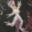 myskinisraw - Single
