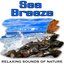 Sea Breeze (Nature Sounds)