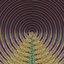 Can You Believe? / Saved By the Bell - Single