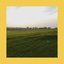 Blossom EP
