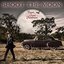 Shoot the Moon