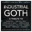 Industrial Goth : Alternative, Gothic Rock, Metal, Dark Wave, 80s Goth, Post Punk, New Wave, Synth, Neue Deutsche Harte