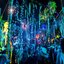 Summer Nights - Single