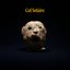 Cul Solaire - Single