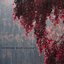 Dripping Rain Lullaby