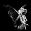 Tes ailes