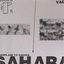 airplane to sahara