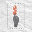 Flame