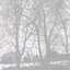Compiled Fragments 1997-2003