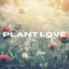 888 Peaceful Growth