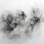 Snow Fled