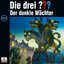 204/Der dunkle Wächter