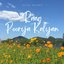 Raag Purya Kalyan