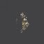 Frames of the Fifth Dimension