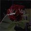 Aley Ma - Single
