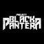 Project Black Pantera