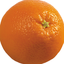 Avatar for orangelover528