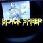 Black Sheep