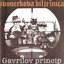 Gavrilov princip