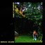 Tudo É Natureza - Single