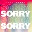 Sorry - Single