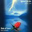 The Rain Of Love