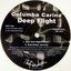 Deep Flight
