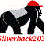 Avatar for silverback2032
