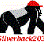 silverback2032 的头像