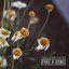 Feel Something