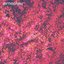Hidden by the Sun - Single