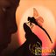 Tribute to Enigma - Return to Innocence