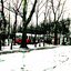 The Icestorm