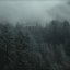 Ashes