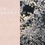 Re:Vernal - Single