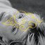 WHIM - Single