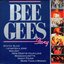 Bee Gees Story