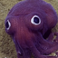 Avatar for Aidensh08