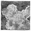 Abundant, Scattered - EP