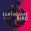 Earthquake Bird (Original Music from the Netflix Film)