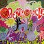 Odessey & Oracle