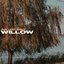 willow