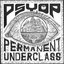 Permanent Underclass